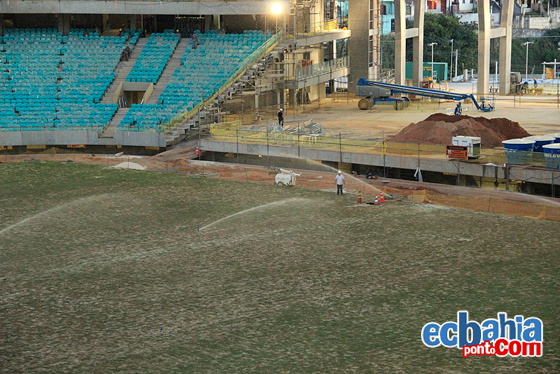 Foto: Will Vieira/ecbahia.com